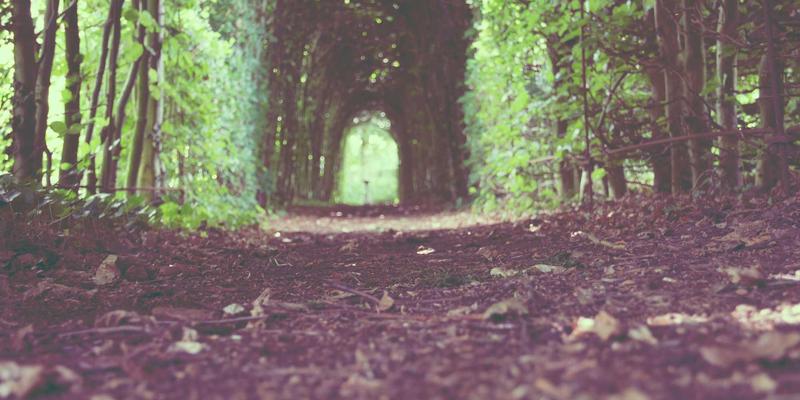 从尘封到智能:档案数字化与知识图谱如何重塑‘胜利档案’的价值