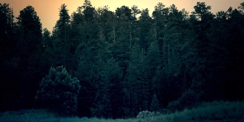 从数据到价值：档案数字化服务商绩效评估KPI体系设计与实战指南