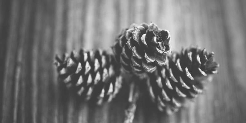 从海量数据到指尖信息：档案数字化后检索系统的设计革命与体验升级