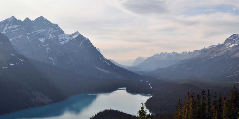 从蓝图到云端:揭秘工程图纸与大幅面档案数字化的核心设备与技术