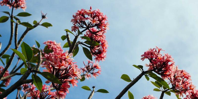 多载体档案同步数字化策略:整合纸质、照片、录音、录像的实践路径