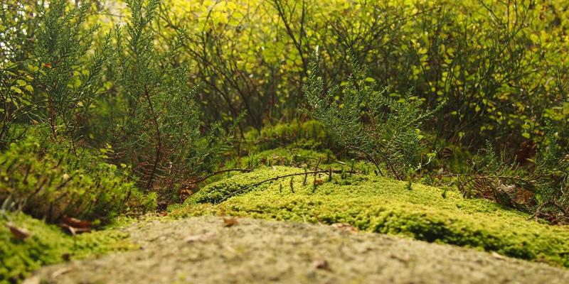 抢救记忆:老旧磁带磁盘档案数字化迁移全攻略