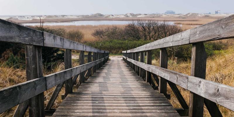 档案数字化成果的版权归属与授权使用：法律风险与合规路径深度解析