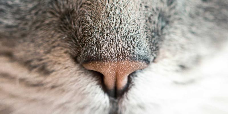 档案数字化项目五大风险预警：从数据加工到档案整理的全流程避险指南