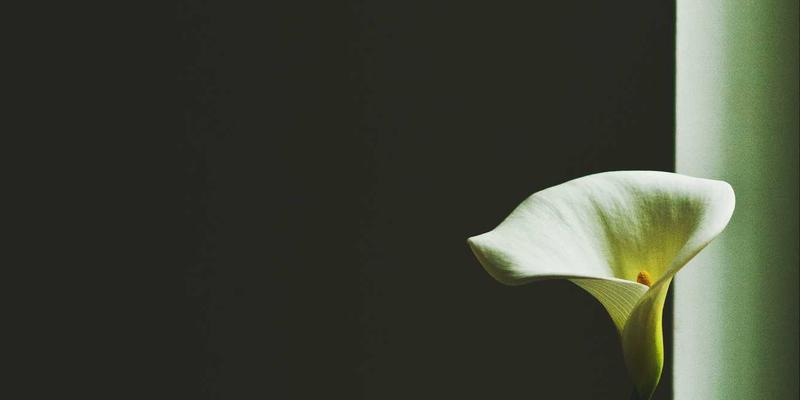 破解历史密码:档案数字化中特殊符号、手写体与模糊字迹的智能识别技术